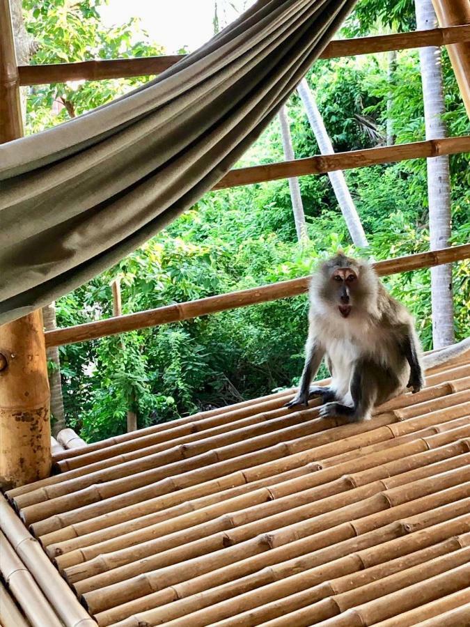 Kalulushi Bungalows Ko Pha Ngan Exteriér fotografie